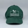 bone dad hat verde feel