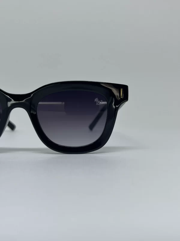 óculos preto classico