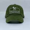 bone modelo dad hat verde militar de frente